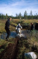Silta oli vieress, mutta niin pahassa kunnossa, ettei siit ollut mitn asiaa yritt yli.<br>Mr Back Slider Laitinen and a second lesson of